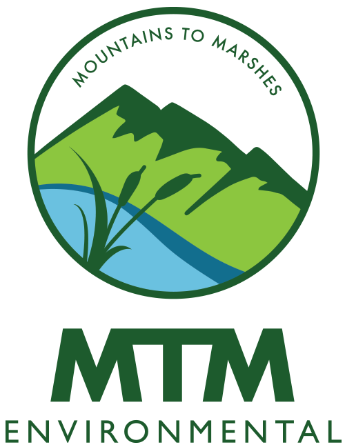 MTM Environmental Logo