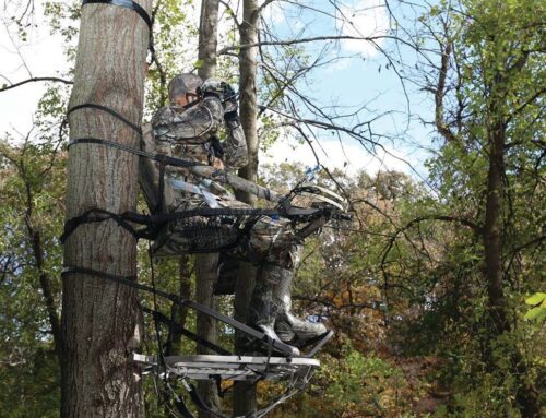 Tree Stand Safety Tips